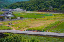 �����C���[�W01